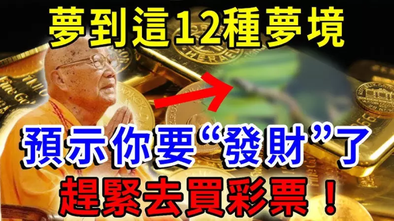 常见的华体会体育梦境彩票类型